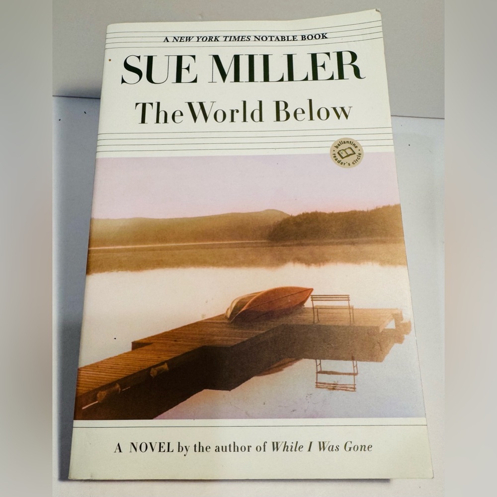 The World Below by Sue Miller Softcover Book